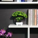 Bonsai Artificial Decorativo - Uflower Mini Green